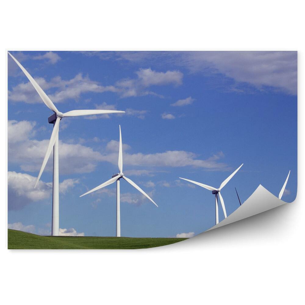 Papier peint moulins à vent blancs champs verts