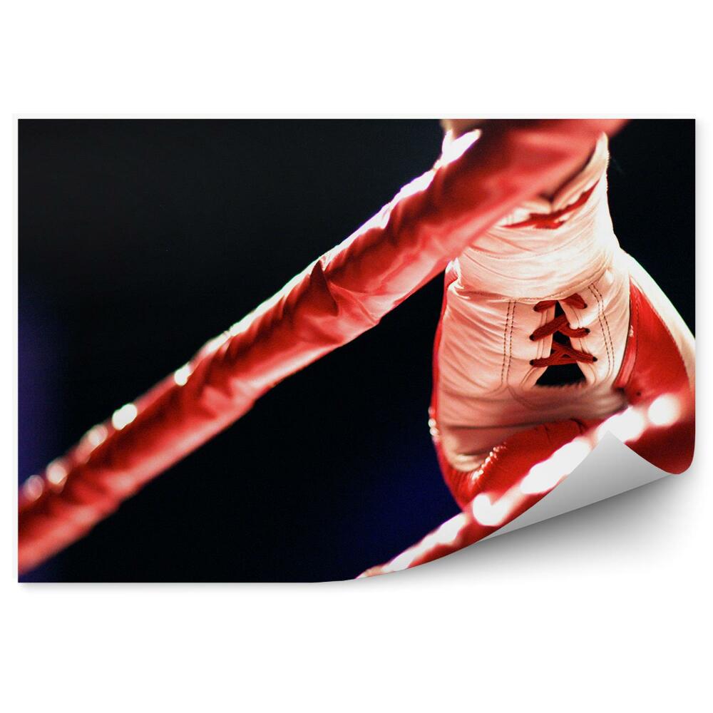 Papier peint Gants de boxe ring
