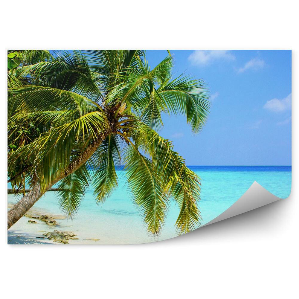 Papier peint Maldives palmiers nature eau bleue ciel