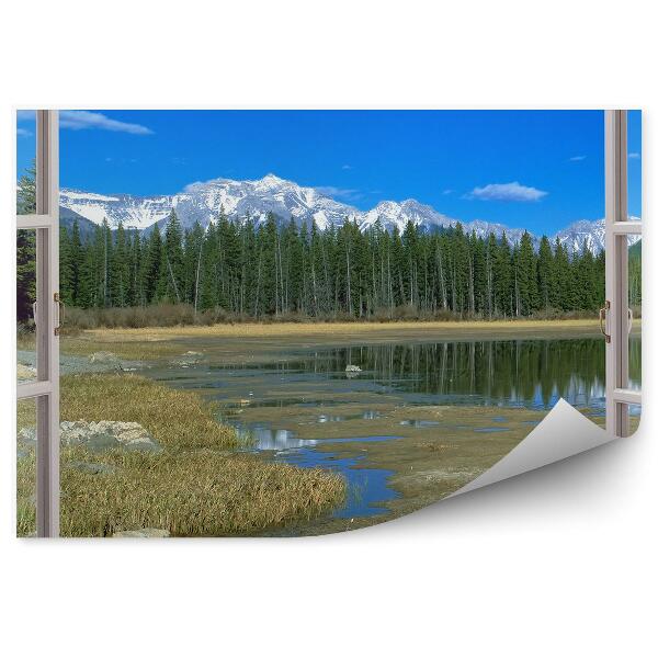 Papier peint Arbre de Noël forêt fenêtre ouverte vue montagne