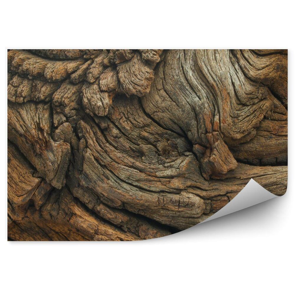 Papier peint Bois de chêne