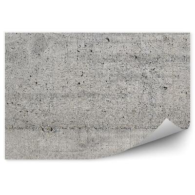 Papier peint Mur en béton