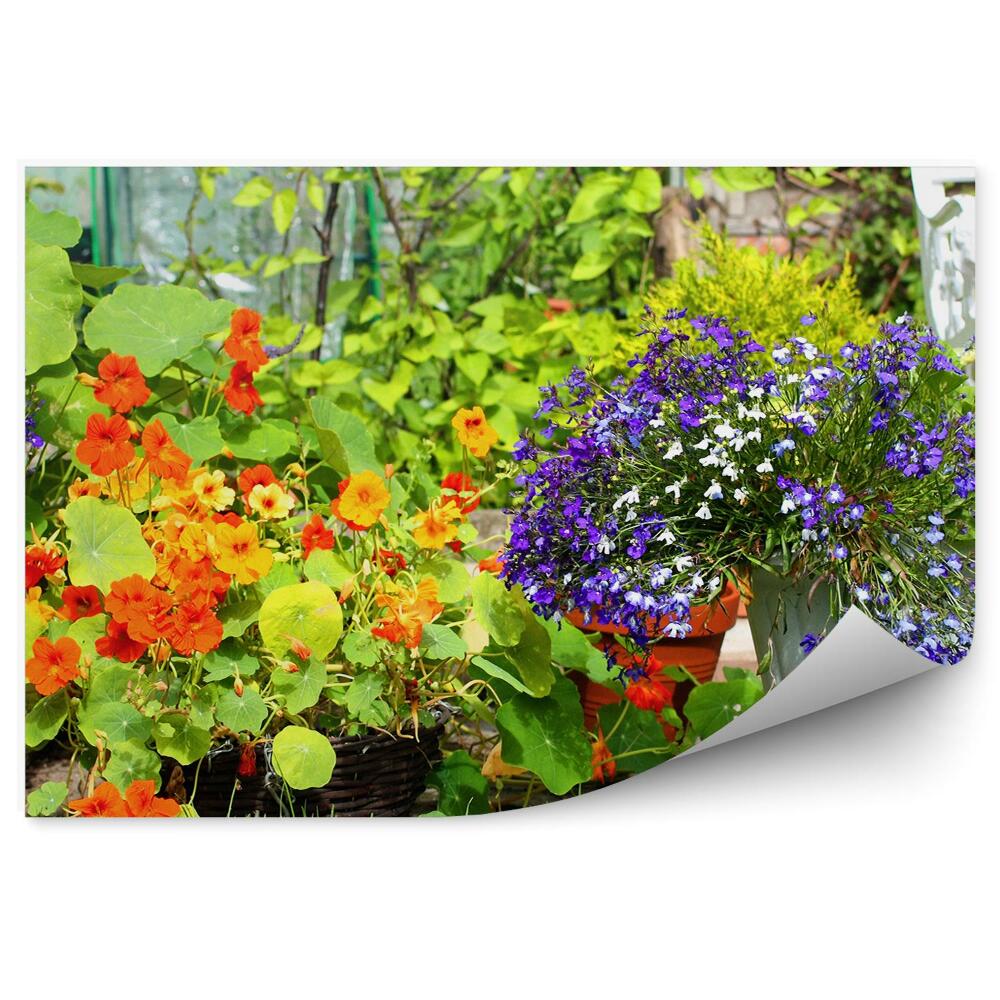 Papier peint Fleurs d'été colorées