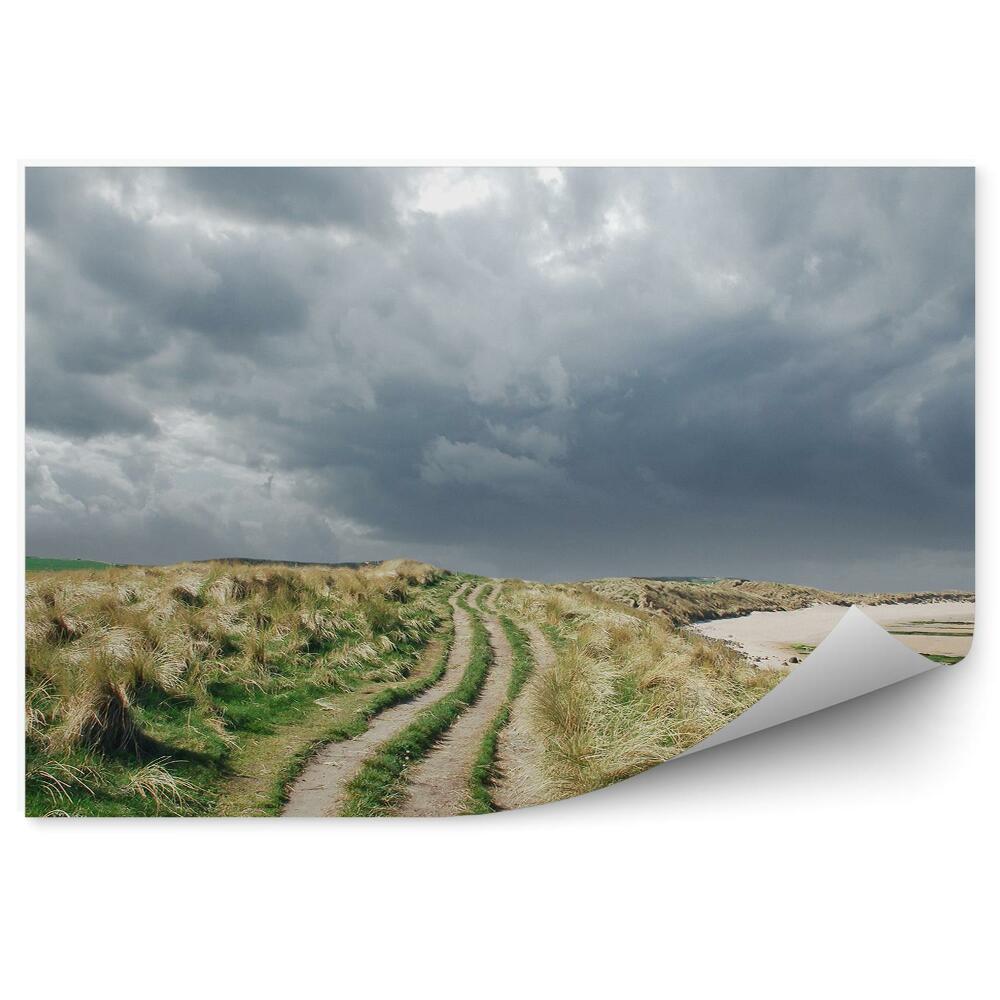 Papier peint Chemin d'herbe Ciel nuageux