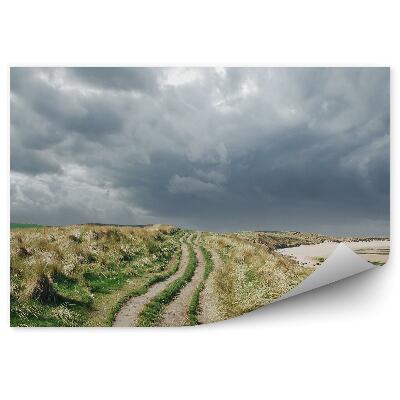 Papier peint Chemin d'herbe Ciel nuageux