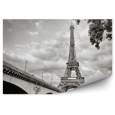 Papier peint Tour Eiffel vue de la rivière