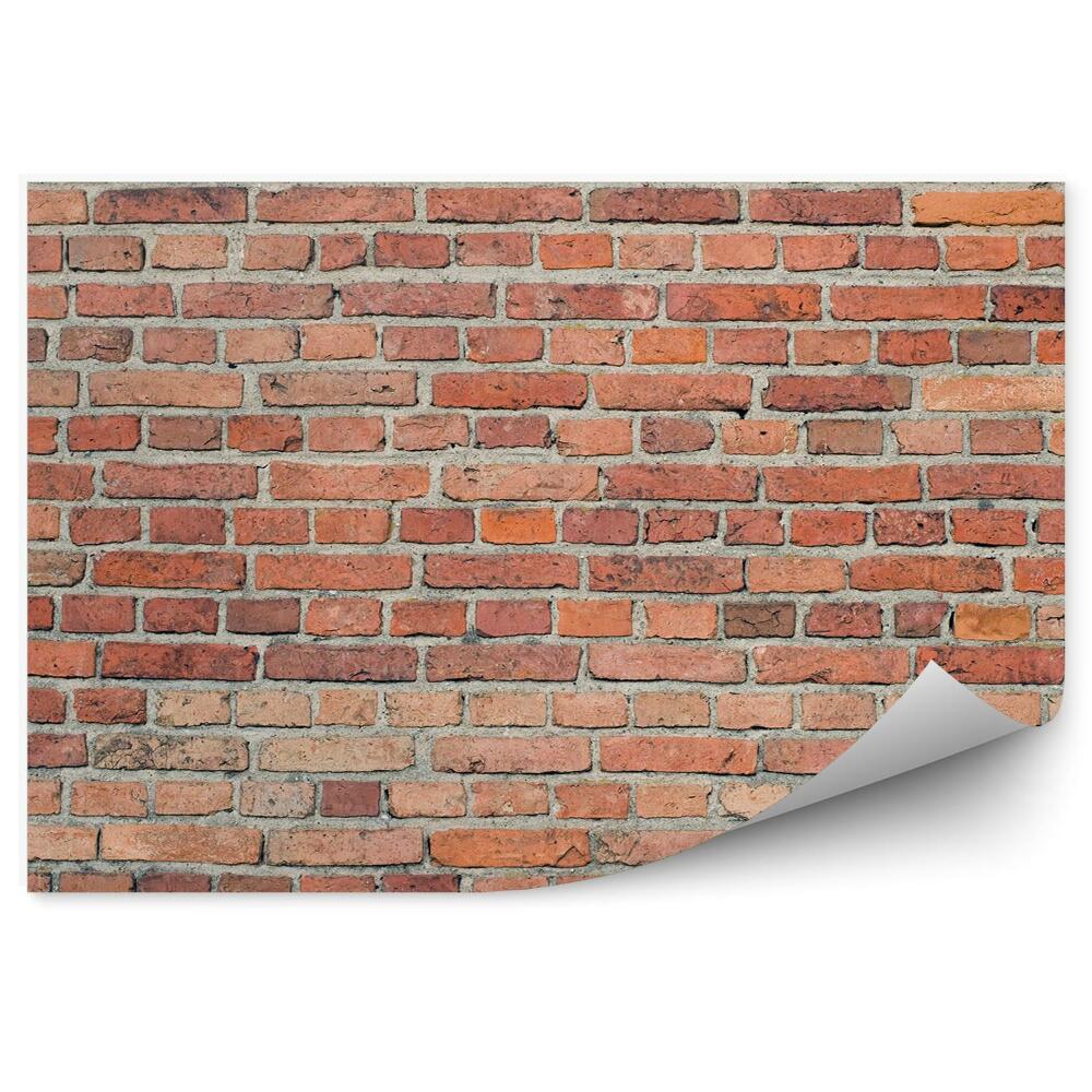 Papier peint Mur de briques