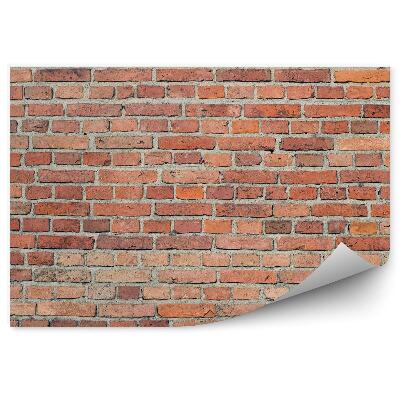 Papier peint Mur de briques
