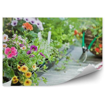 Papier peint panoramique Fleurs herbes nature végétation outils