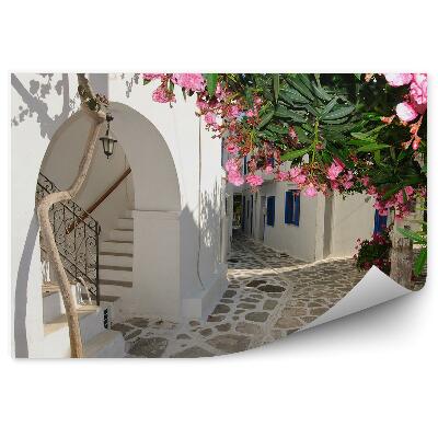 Papier peint Allée fleurs végétation bâtiments blancs ville