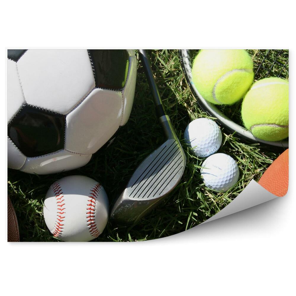 Papier peint Ballons de sport