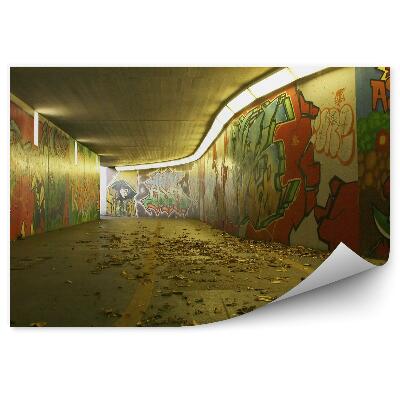 Papier peint Graffiti De Passage Souterrain