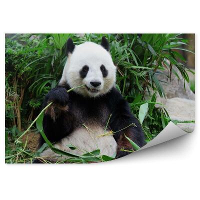 Tapisserie panoramique Panda