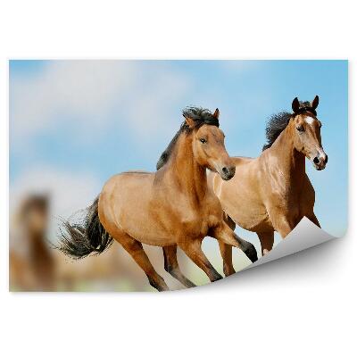 Papier peint Troupeau De Chevaux Bruns Courant Poussière Herbe