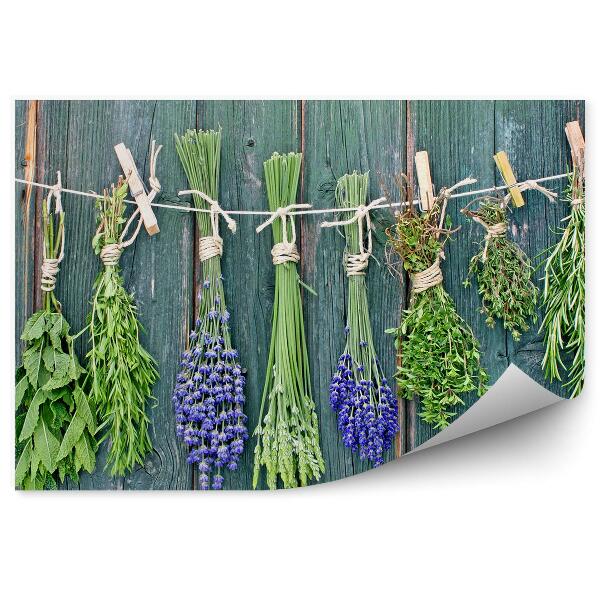 Tapisserie panoramique Herbes fraîches cordes pinces à linge bois