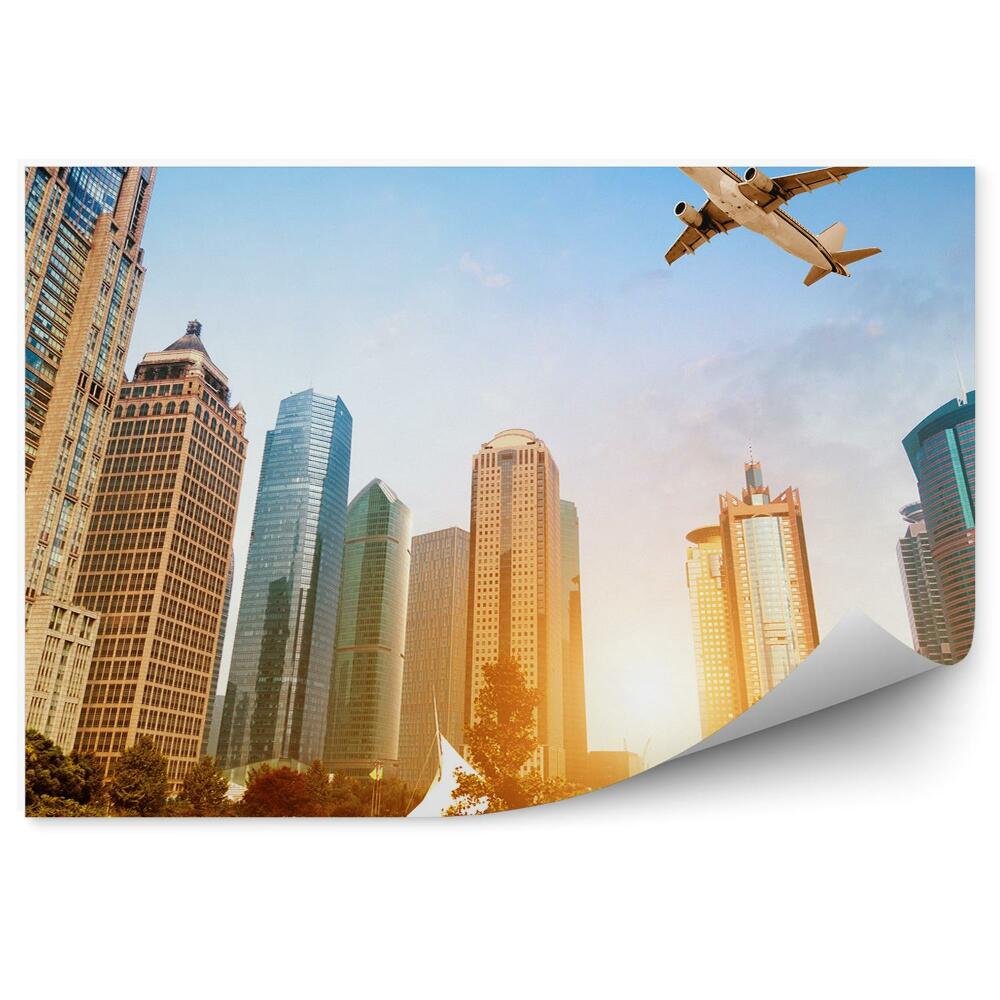 Papier peint Avion au-dessus d'un parc urbain nature