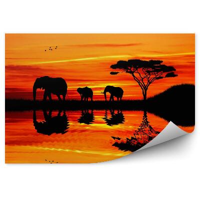 Tapisserie panoramique Silhouette d'éléphants au coucher du soleil