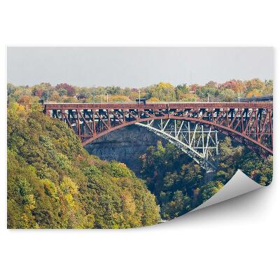 Papier peint Arbres Végétation Pont au-dessus de la rivière