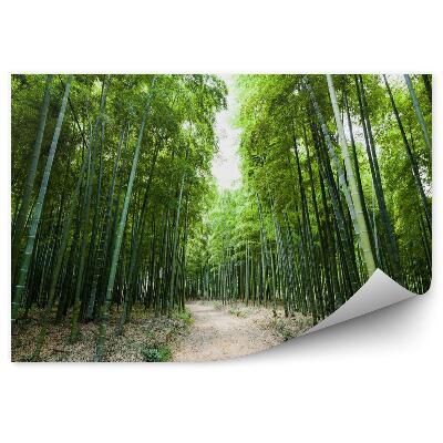 Papier peint Forêt de bambous verts