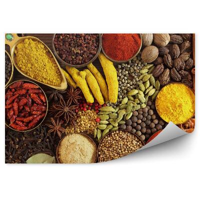 Papier peint panoramique Épices indiennes
