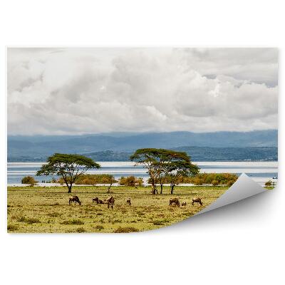 Papier peint Bison Arbres Herbe Lac Naivasha Montagnes Ciel Nuages