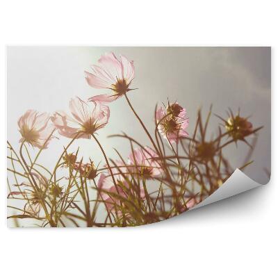 Papier peint Fleurs au coucher du soleil