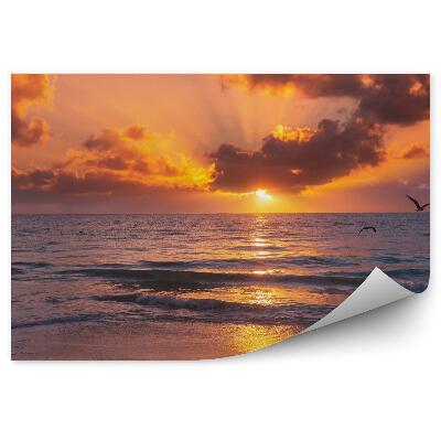 Papier peint Coucher de soleil