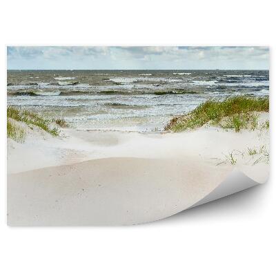 Papier peint Dunes sur la côte baltique