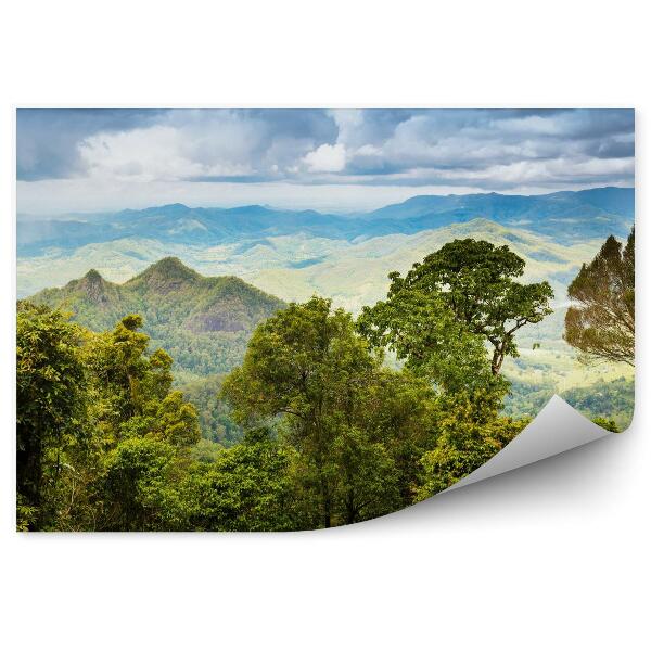 Papier peint Forêt tropicale du Queensland