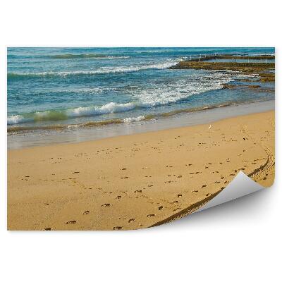 Papier peint Plage Oiseaux Océan Eau Vagues Rochers