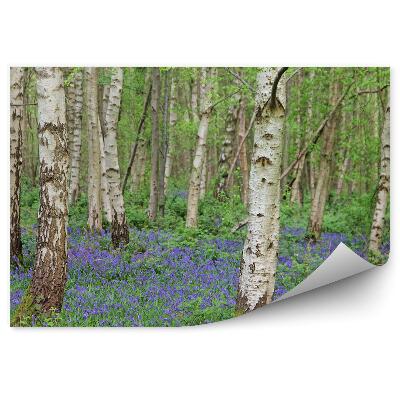 Papier peint Fleurs bleues parmi les bouleaux