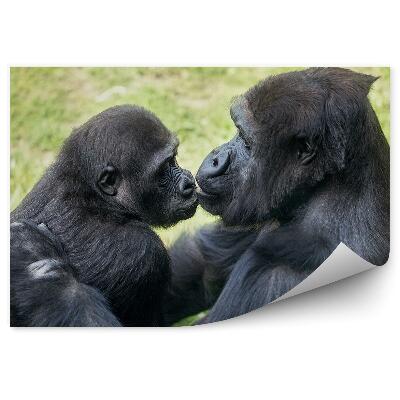Papier peint Mère Gorille Avec Ses Petits