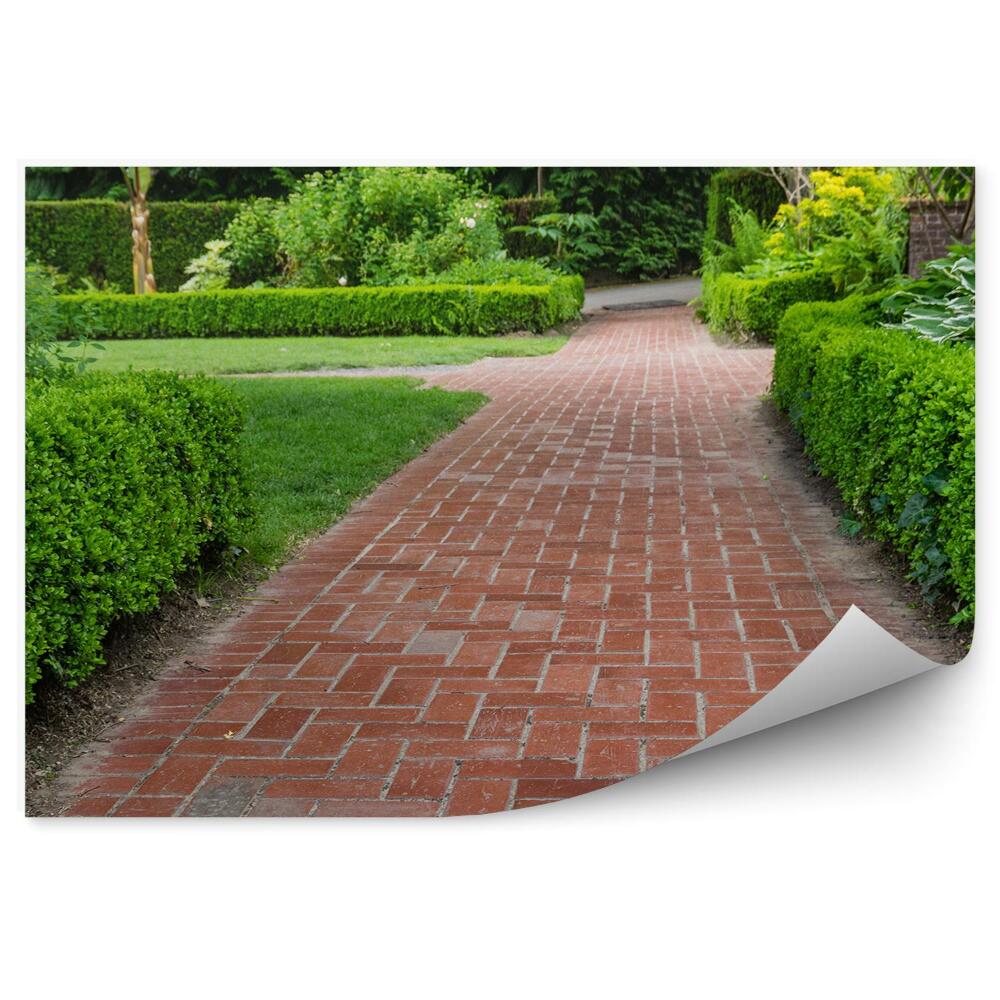 Papier peint Chemin de jardin Végétation Arbustes Verdure