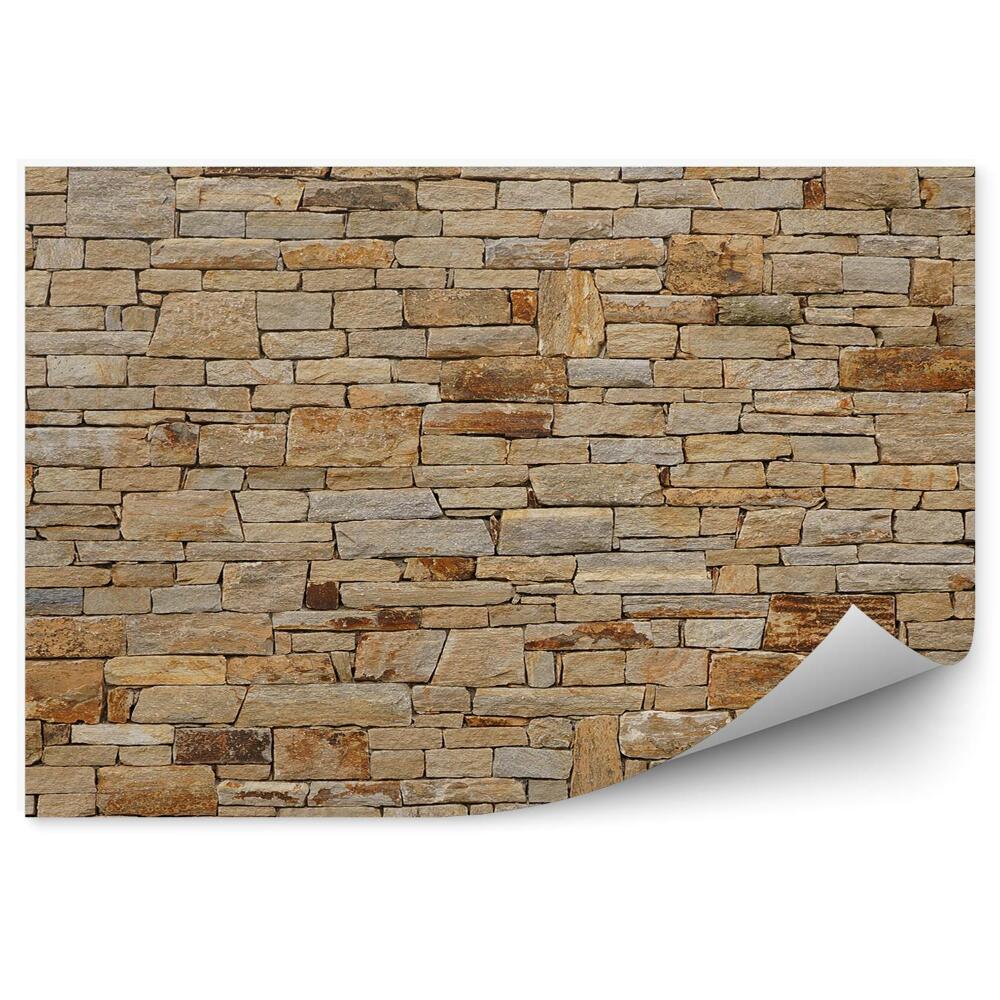 Papier peint Mur de briques multicolores