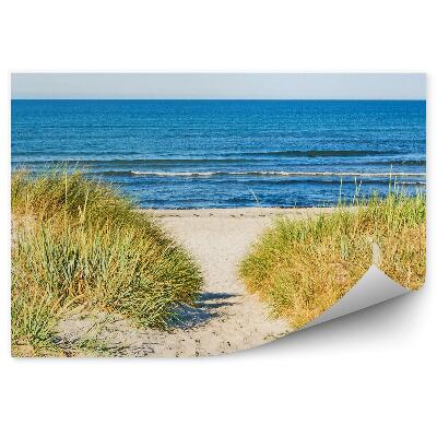 Papier peint Herbe De Plage Ciel Océanique