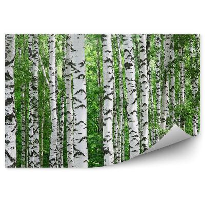 Papier peint Bouleau En Herbe