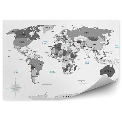 Papier peint Carte du monde politique en noir et blanc