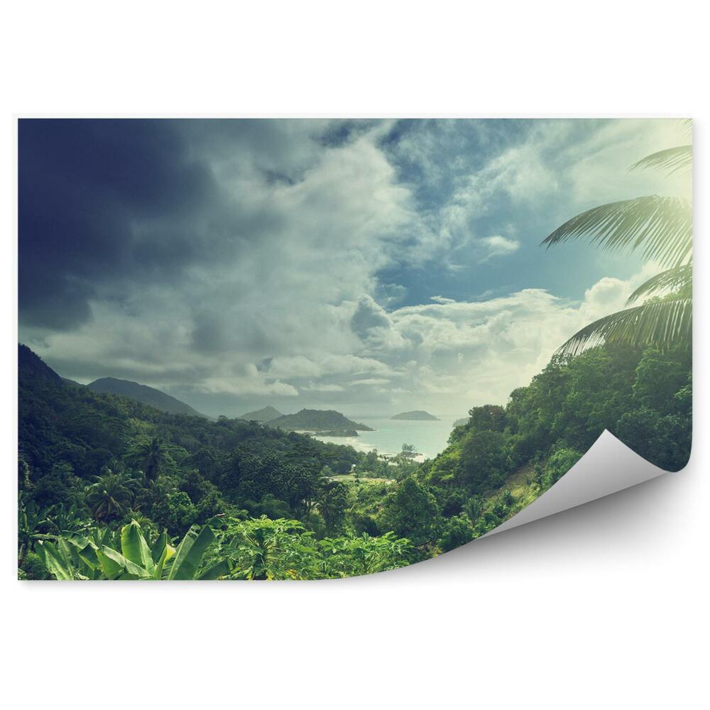 Papier peint Jungle Océan Roches Ciel Nuages Palm Beach Seychelles