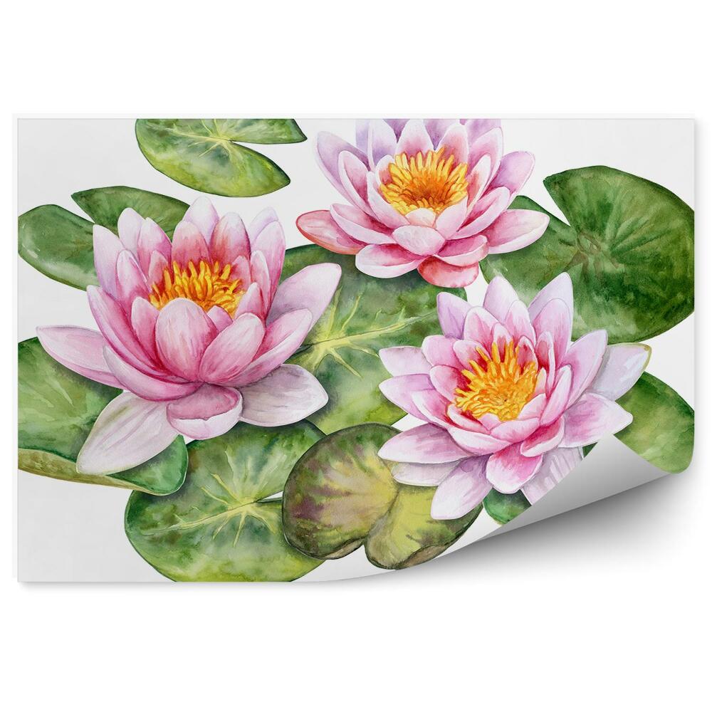 Papier peint Dessin gravure nénuphars sur fond blanc