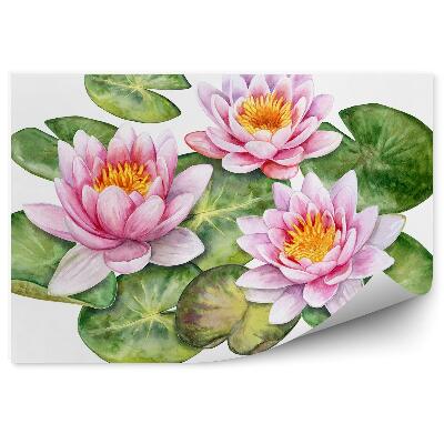 Papier peint Dessin gravure nénuphars sur fond blanc