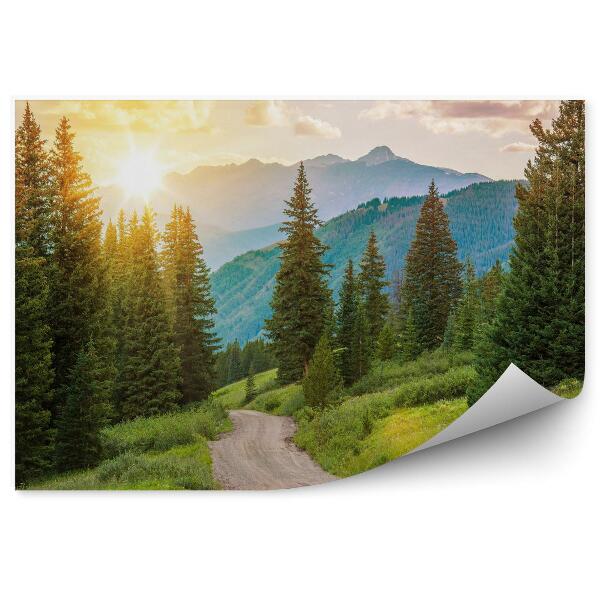 Papier peint Paysage de forêt de montagne