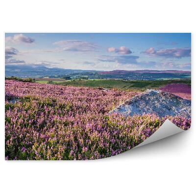 Papier peint Collines dans la bruyère