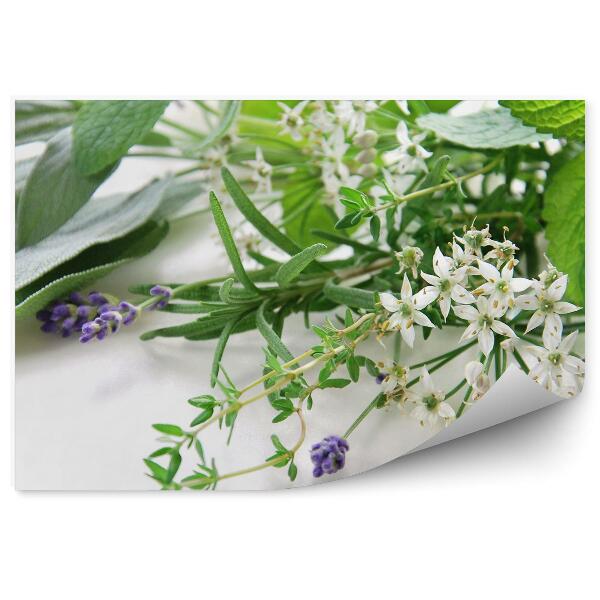 Tapisserie panoramique Composition herbes fraîches fleurs vertes feuilles