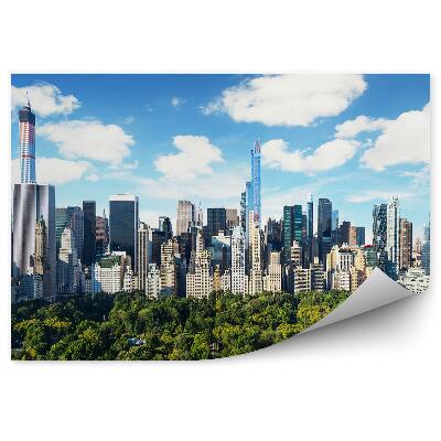 Papier peint Gratte-ciel Arbres Ciel Nuages Central Park New York