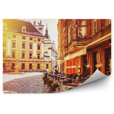 Papier peint Place du marché de Wroclaw Bâtiments Fontaine Fleurs