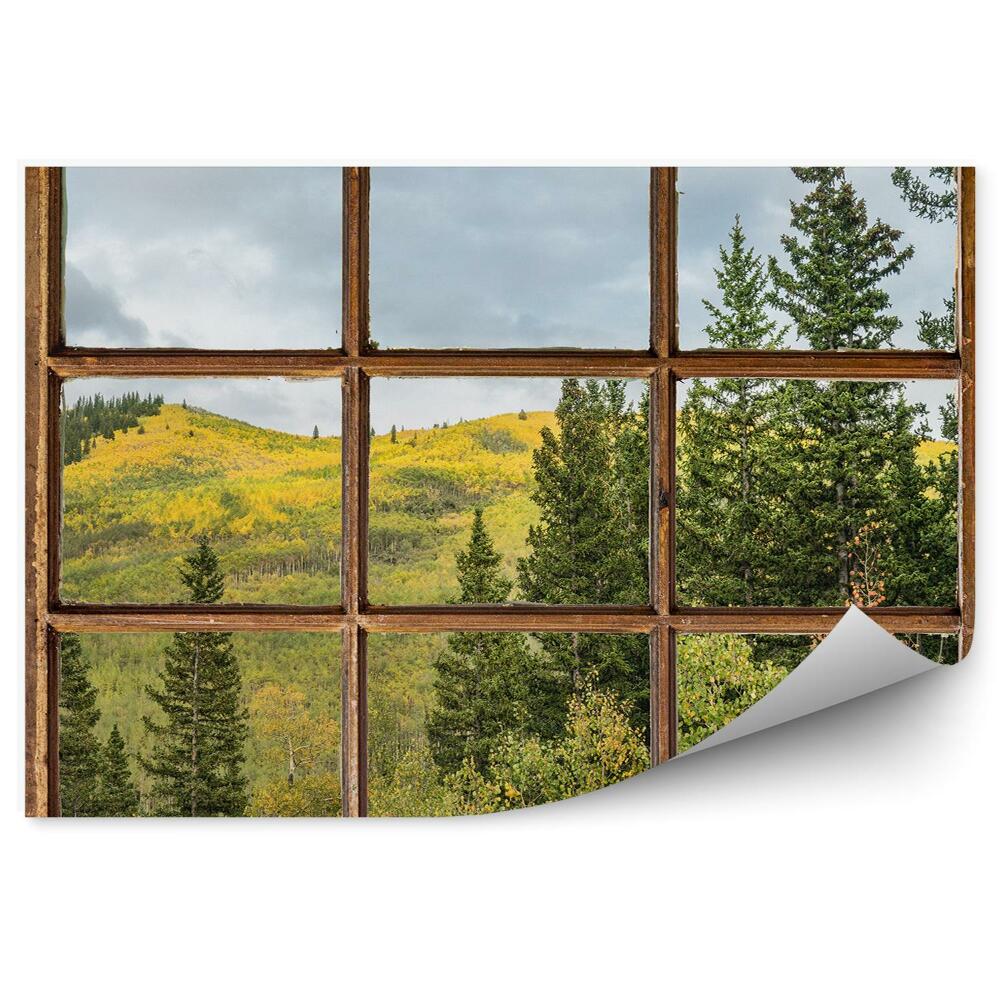 Papier peint Arbre de Noël montagnes végétation verte derrière la fenêtre