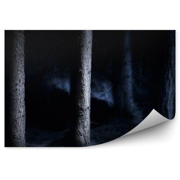 Papier peint Forêt De Nuit
