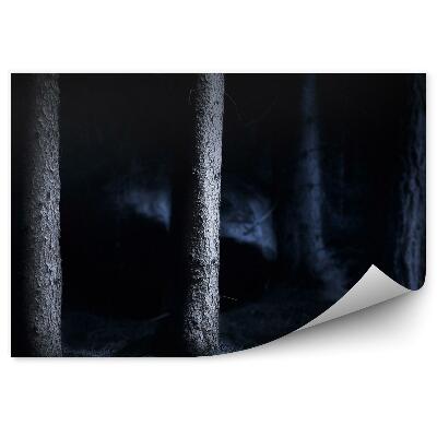 Papier peint Forêt De Nuit