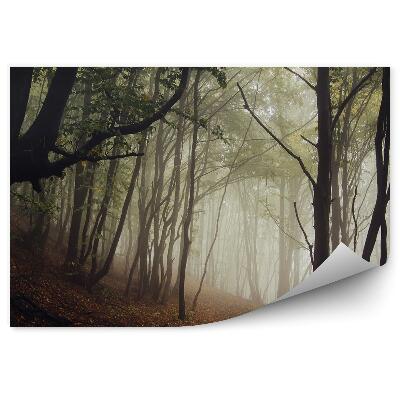 Papier peint Chemin Forêt Sombre Automne