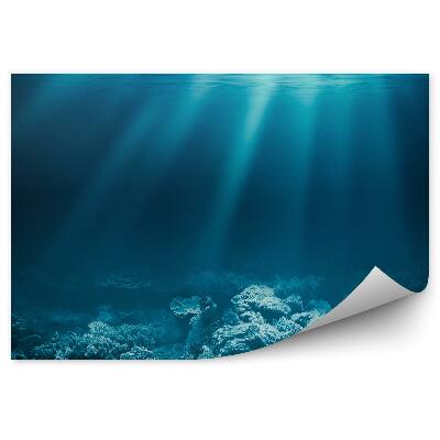 Papier peint Fond De L'océan Récif Corallien Soleil